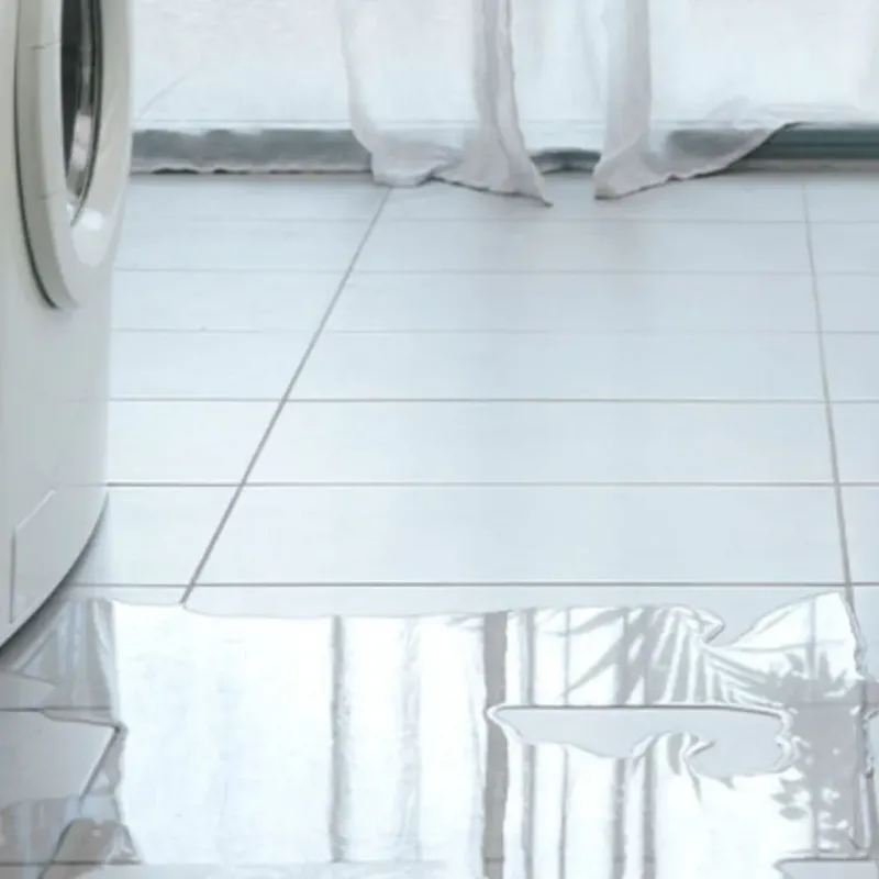 Appliance Leak Cleanup in Kaufman, TX