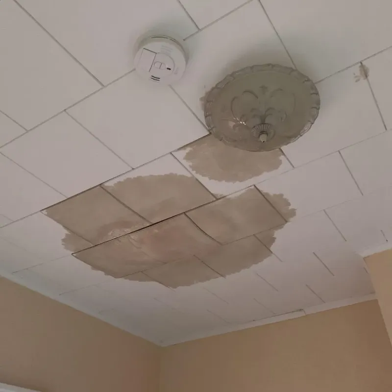 Ceiling Water Damage Repair in Kaufman, TX