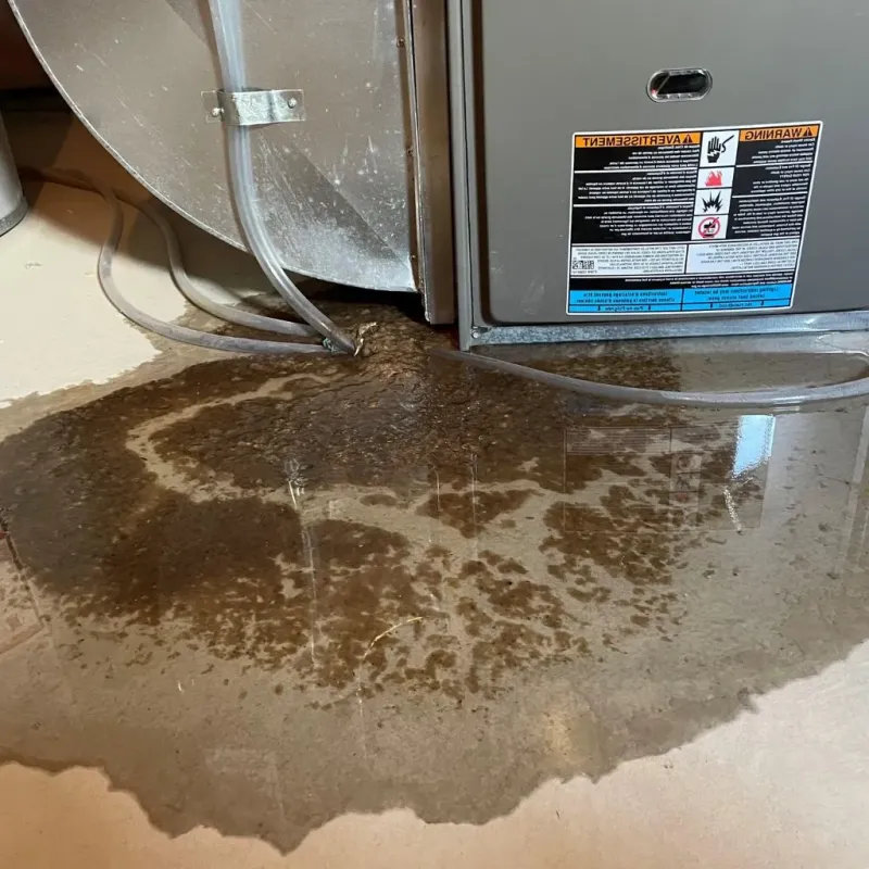 Pipe Burst and Leak Restoration in Kaufman, TX