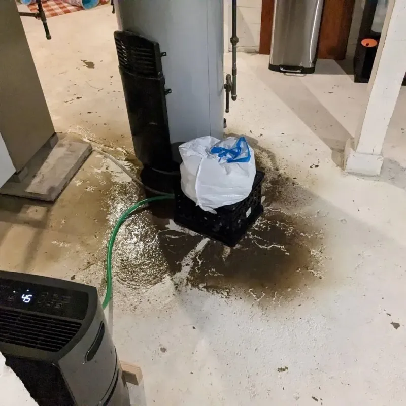 Sewage Backup Cleanup Service in Kaufman, TX